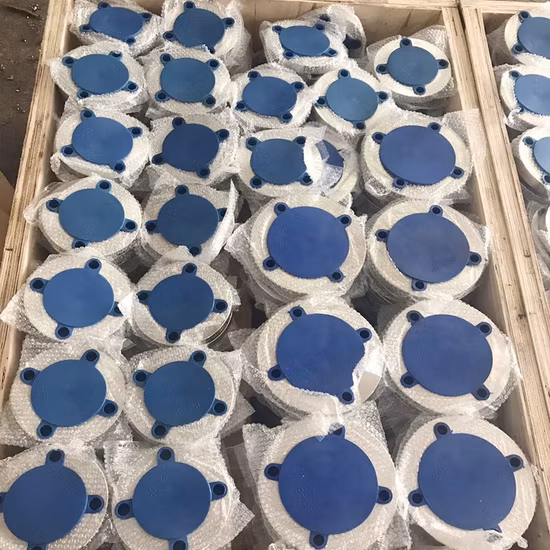 JIS 40K ANSI B24 サニタリー 316L 1-5/8 インチ RF シール ロック水処理フランジ